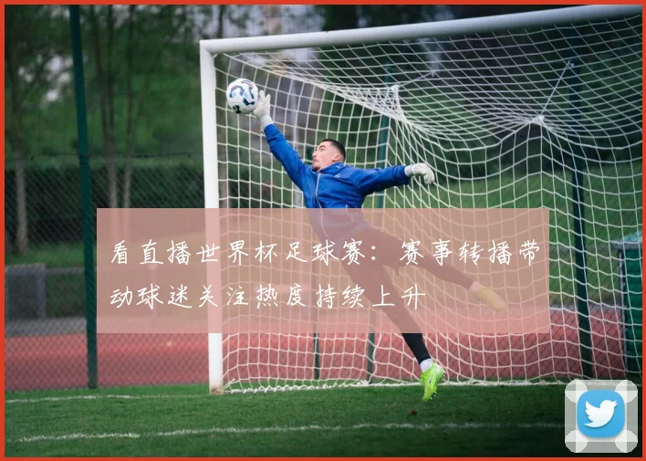 看直播世界杯足球赛:赛事转播带动球迷关注热度持续上升