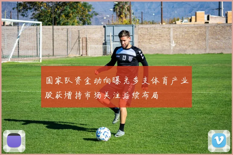 国家队资金动向曝光多支体育产业股获增持市场关注后续布局