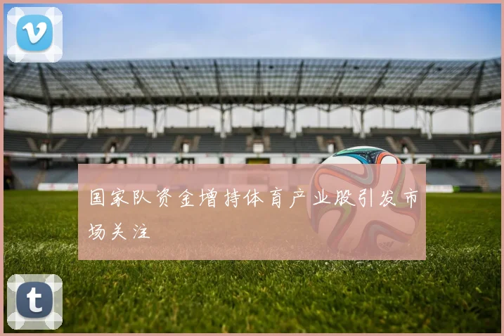 国家队资金增持体育产业股引发市场关注