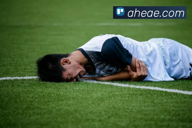 多媒体互动体验